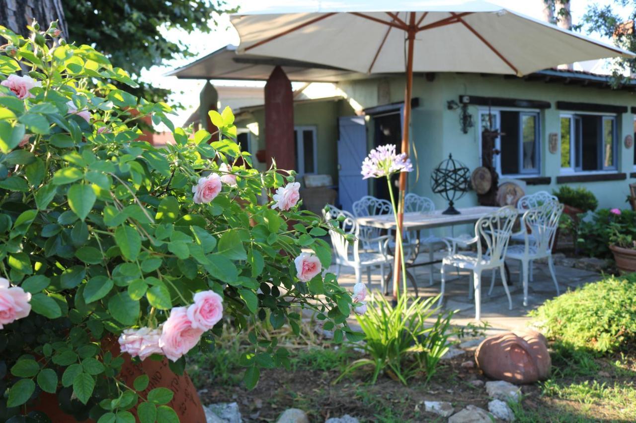 מגדל אגם פוצ'יני Lo Chalet Dell'Artista מראה חיצוני תמונה