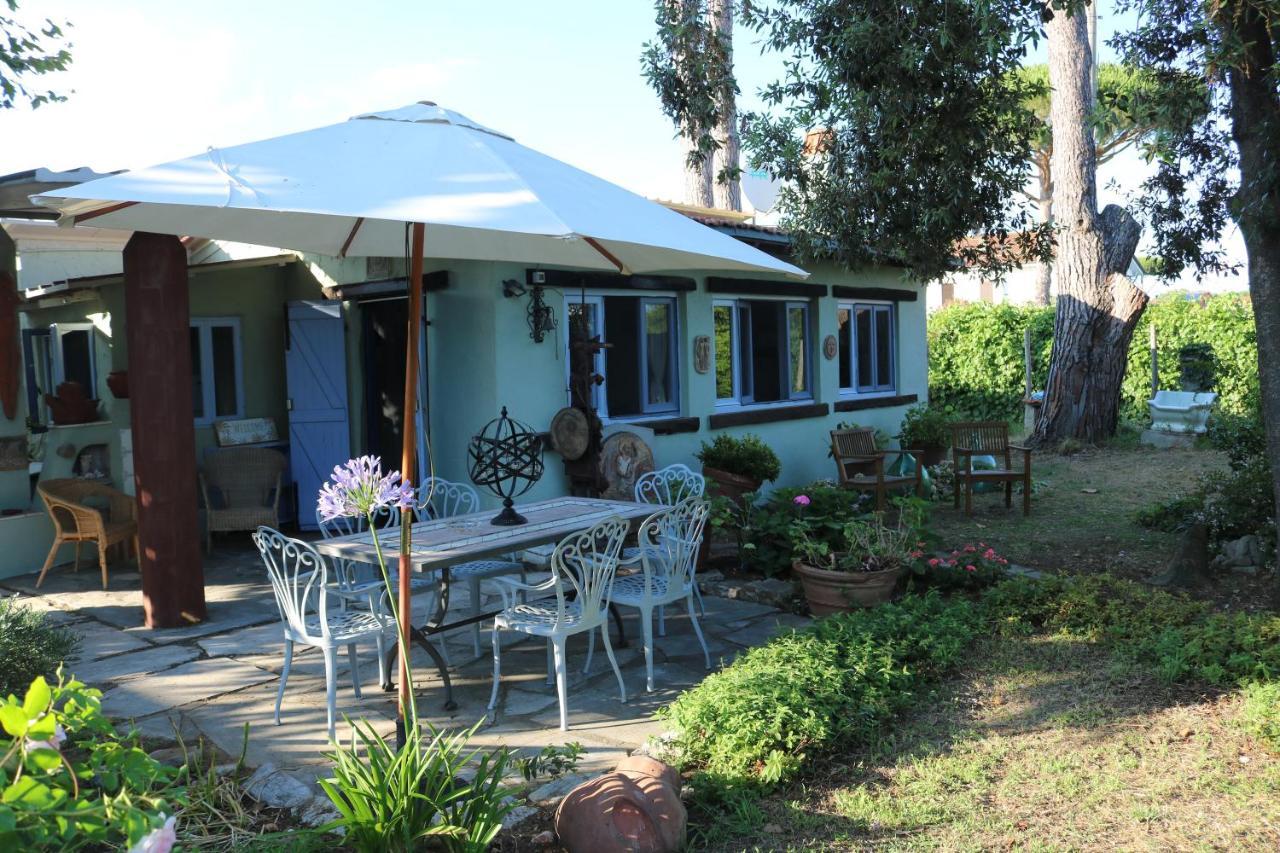 מגדל אגם פוצ'יני Lo Chalet Dell'Artista מראה חיצוני תמונה